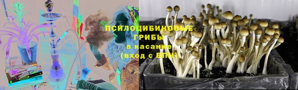 герыч Алзамай